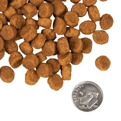 FROMM® FOUR STAR NUTRITIONALS® PORK & PEAS RECIPE DRY DOG FOOD