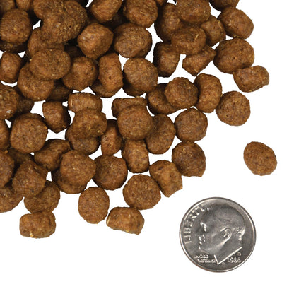 FROMM® FOUR STAR NUTRITIONALS® SALMON À LA VEG RECIPE DRY DOG FOOD