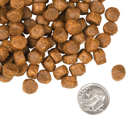 FROMM® FOUR STAR NUTRITIONALS® SURF & TURF RECIPE DRY DOG FOOD