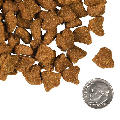FROMM® FOUR STAR NUTRITIONALS® ZEALAMBDER RECIPE DRY DOG FOOD