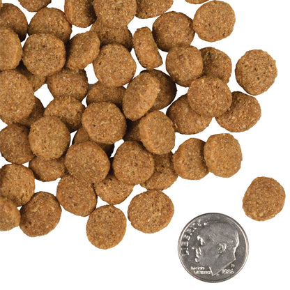 FROMM® GOLD LARGE BREED ADULT DRY DOG FOOD