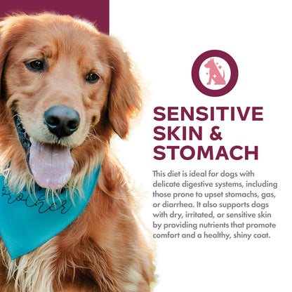 Sensitive Skin & Stomach Salmon & Whole Oats Recipe