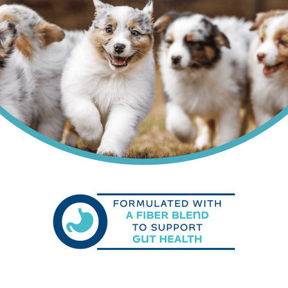 Digestive Functional Dog Treats