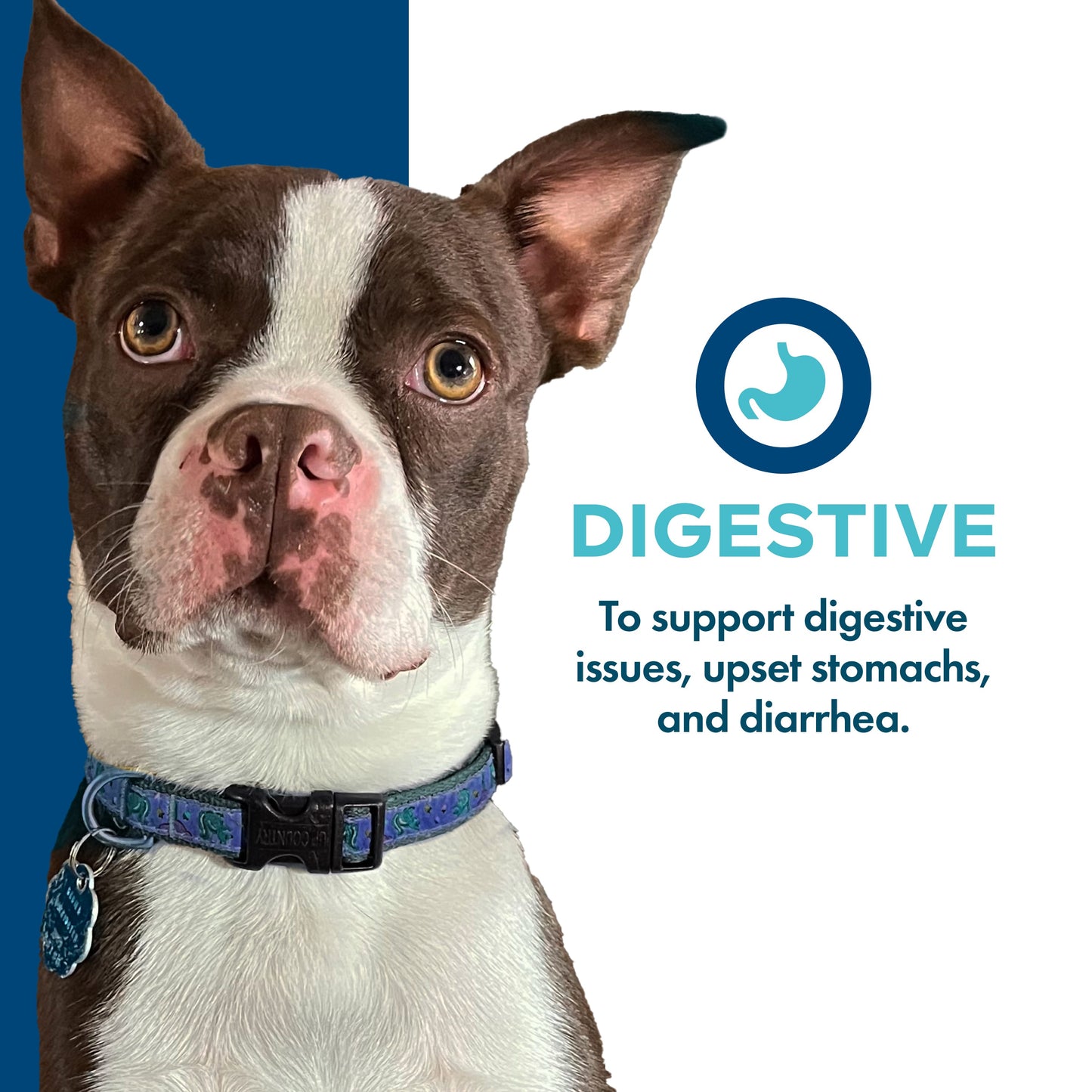 Mobility Functional Dog Treats