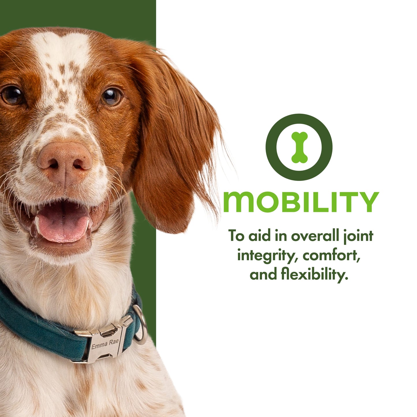 Mobility Functional Dog Treats