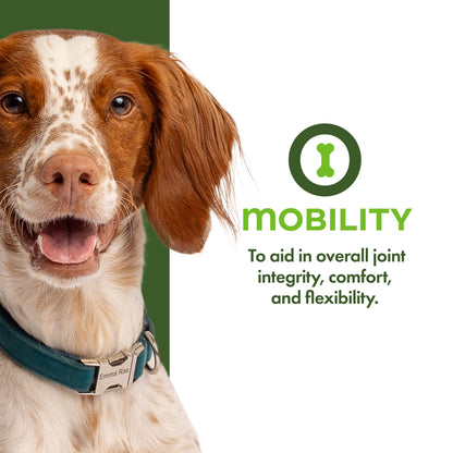 Mobility Functional Dog Treats